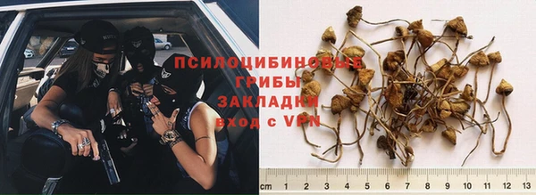 PSILOCYBIN Абаза