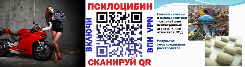 Псилоцибиновые грибы Cubensis  Кочубеевское 